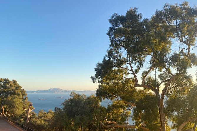 Go Tours Private Rock Experience Tour in Gibraltar - Skywalk glass platform: 340 meters above sea level