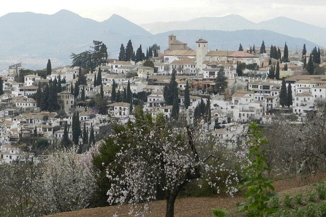 Granada Day Trip: Alhambra & Nazaries Palaces from Seville - Timing, Delays, and Closing Time: How to Avoid a Frustrated Day