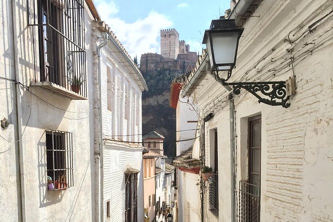 Granada Day Trip from Seville with Skip-the-line Alhambra Access - Guides and Languages: When the Driver Makes the Day Easier
