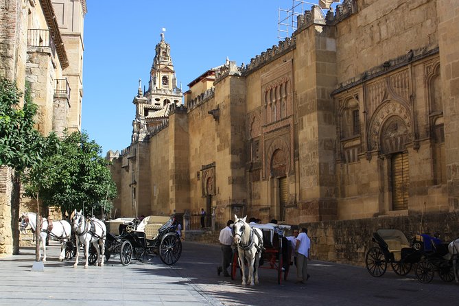 Guided tour: discover the 2 great monuments in Córdoba: Mezquita and Alcázar. - Stop-by-Stop Timing: What Each Segment Feels Like