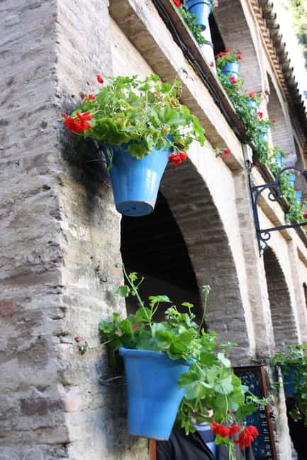 Guided tour in Spanish to the courtyards of Córdoba - Key highlights to know before you go