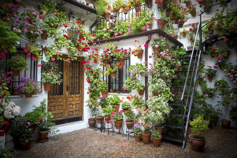 Guided tour in Spanish to the courtyards of Córdoba - What you will see inside the courtyards: light, water, and household details