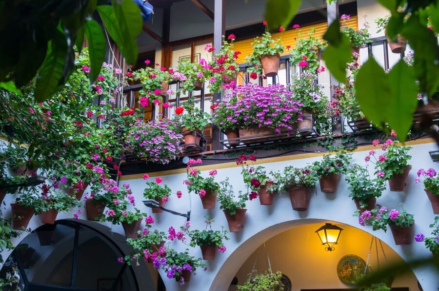 Guided tour in Spanish to the courtyards of Córdoba - The Spanish guide experience, and why it changes everything