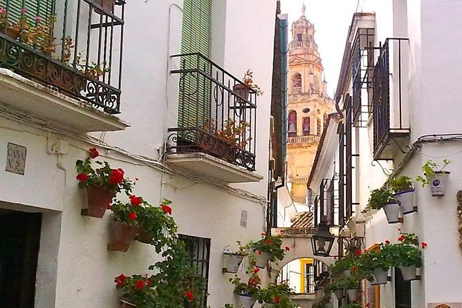 Guided Tour Jewish Quarter and Mosque-Cathedral of Córdoba with tickets - Crowds, accents, and how to avoid a frustrating visit