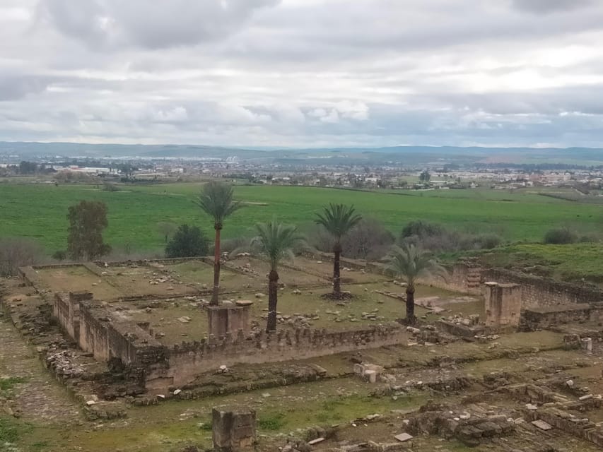 Guided tour of Medina Azahara only in french - Medina Azahara, why this “2 hours in French” tour works