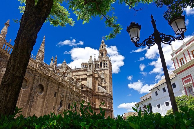 Guided Tour of Santa Cruz Jewish Quarter, Alcázar, and Cathedral - Seville Cathedral and Giralda: the Gothic scale moment