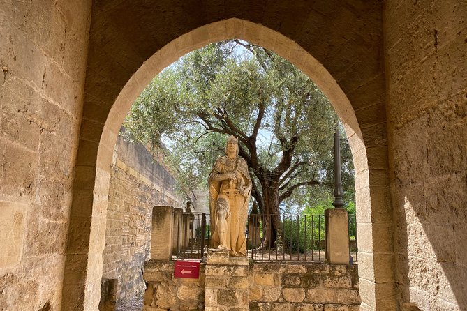 Guided tour of the Alcazar de los Reyes Cristianos in Spanish - Courtyards and Patios: The Heartbeat of the Visit