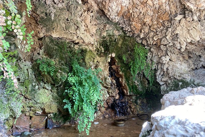 Guided tour of the Alcazar de los Reyes Cristianos in Spanish - Gardens Outdoors: What to Expect in Spring and Autumn