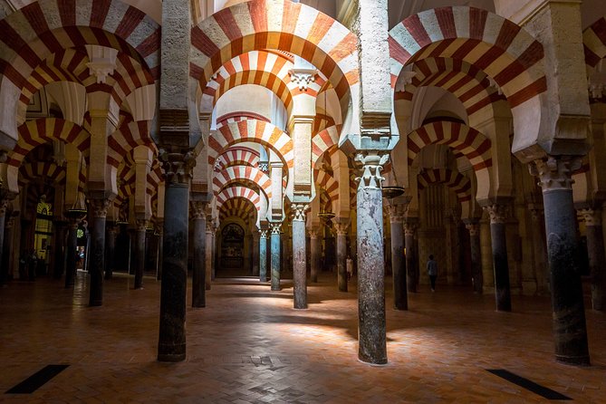 Guided tour of the Mosque with entrance included - What happens in the 1-hour visit