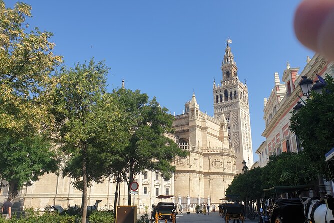 Guided Tour Sevilla Cathedral - Price and value at about $36.20
