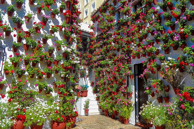 Guided Tour to the Popular Patios of Cordoba - Key highlights to look for before you go