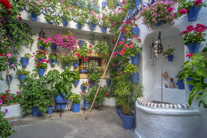 Guided Tour to the Popular Patios of Cordoba - Cordoba Patios: Why This Tradition Still Feels Alive