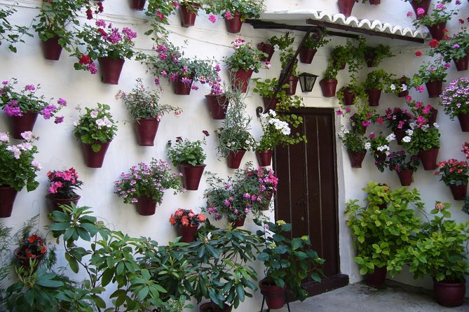Guided Tour to the Popular Patios of Cordoba - Inside the Patio Circuit at Patios de Córdoba