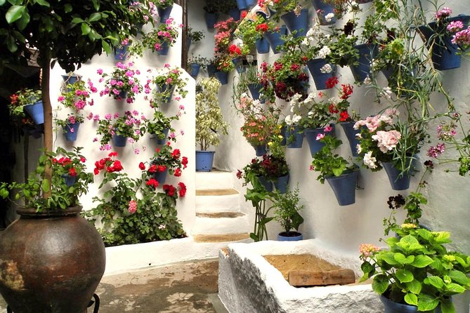 Guided Tour to the Popular Patios of Cordoba - Who This Patio Tour Fits Best