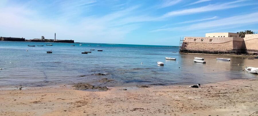 Guided visit on foot through Cádiz: stories from the hand of a local guide - How the route works through the historic center (and what to watch for)