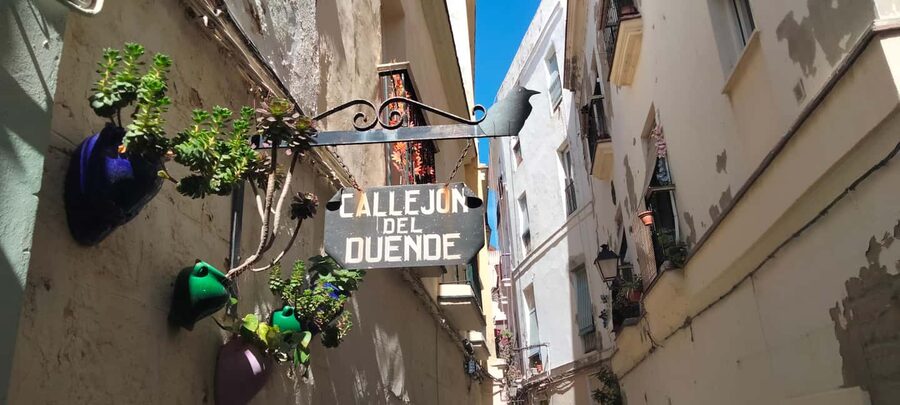 Guided visit on foot through Cádiz: stories from the hand of a local guide - What you get included, and what you should plan to pay for