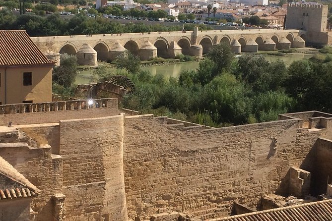 Guided visit to the Mosque-Cathedral, Jewish Quarter, Alcazar and Synagogue. Official guide - Stop 5: Alcázar de los Reyes Cristianos and the Alcázar Gardens Finish