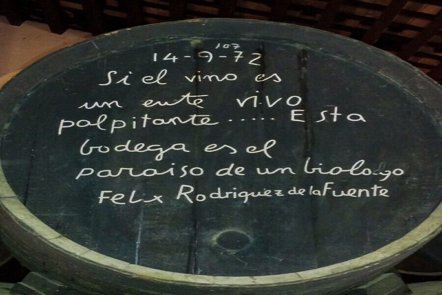 Half-Day Wine Tour in Andalusia in small group - Quick Highlights You Should Care About