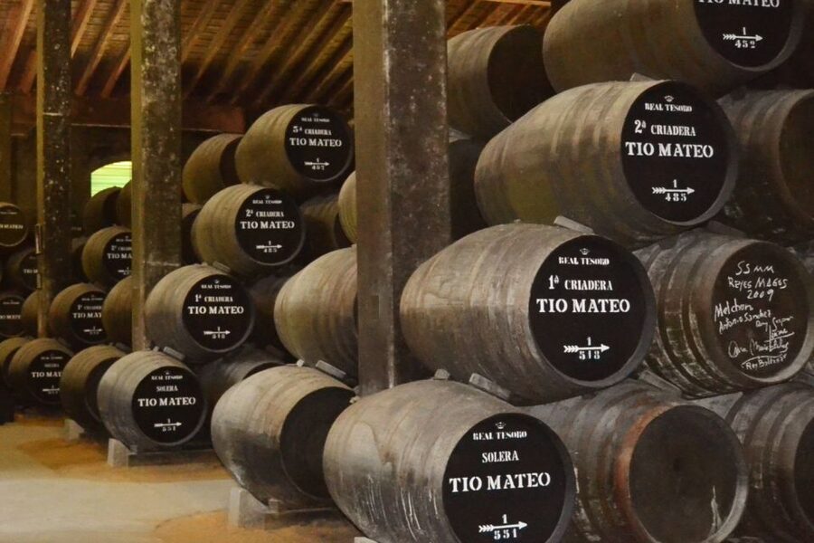 Half-Day Wine Tour in Andalusia in small group - Bodegas Andrade: What the 2 Hours Actually Include