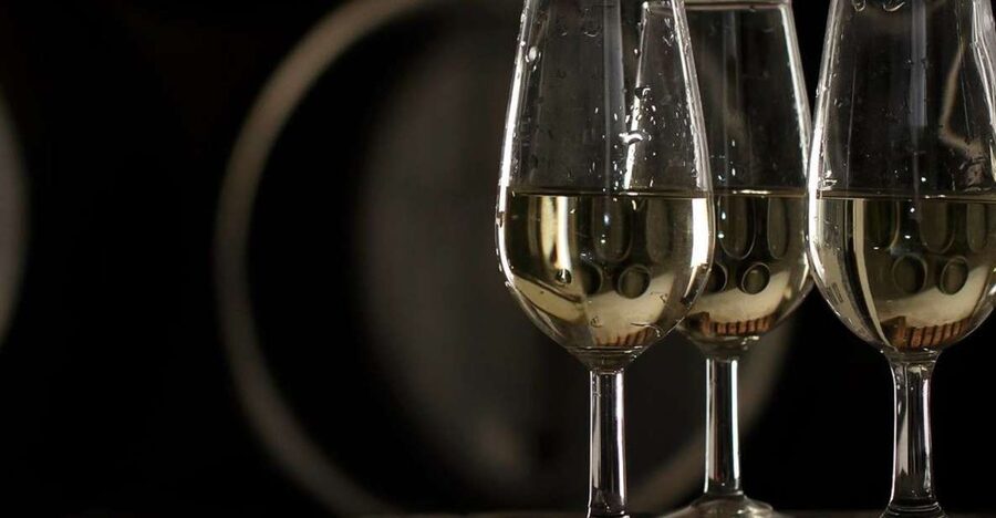 Half-Day Wine Tour in Andalusia in small group - Wine Tasting That Feels Like a Lesson, Not Just Sips