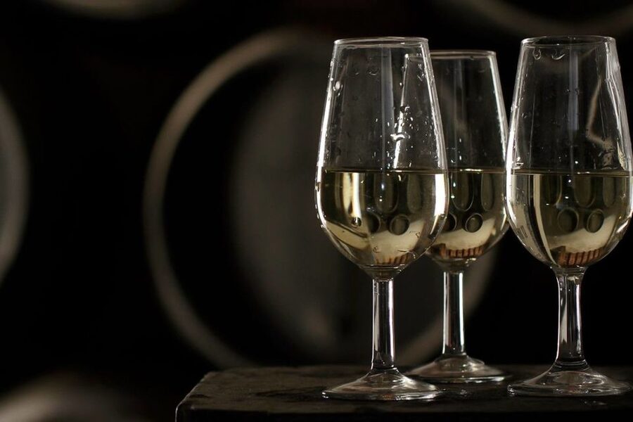 Half-Day Wine Tour in Andalusia in small group - Shared Group vs Private Tour: Choosing the Right Pace