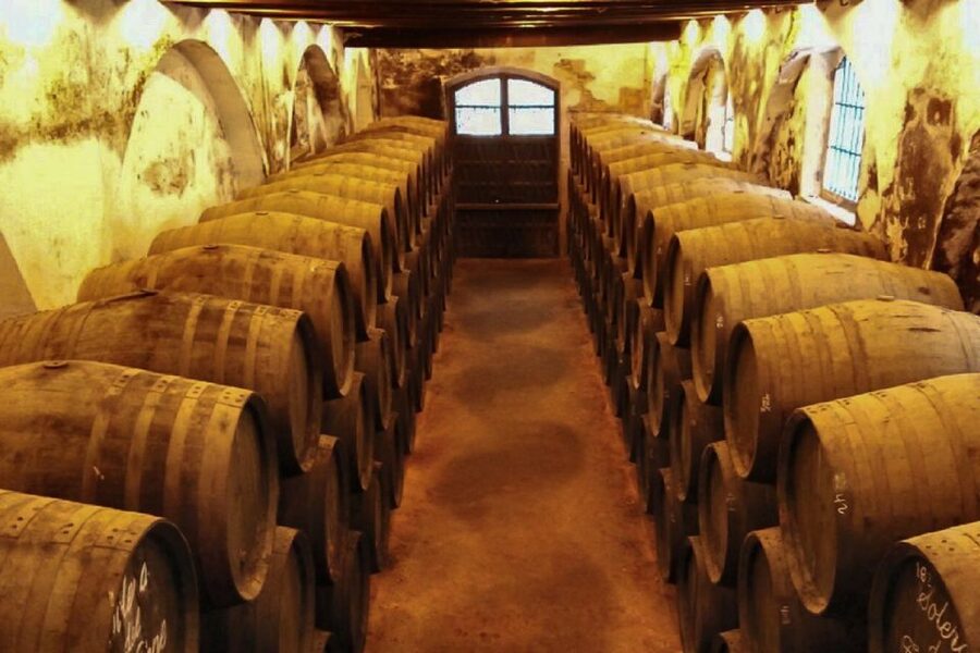 Half-Day Wine Tour in Andalusia in small group - Tips to Make Your 4 Hours Go Smoothly