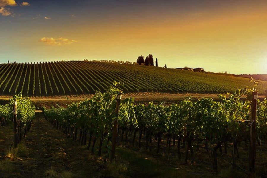 Half-Day Wine Tour in Andalusia in small group - Should You Book This Seville to Andalusia Wine Tour?