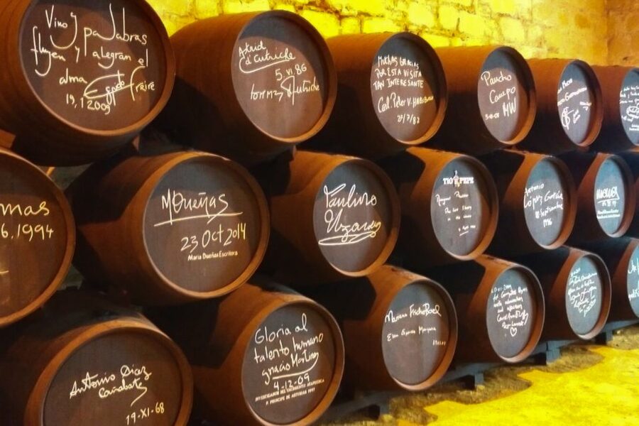 Half-Day Wine Tour in Andalusia in small group - The Countryside Drive: Pickup Timing, Seville Meeting Points, and Comfort