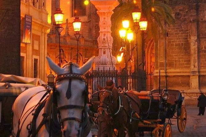 Horse and Buggy Ride in Seville with guide - Why a 60-Minute Horse Ride Changes How You See Seville