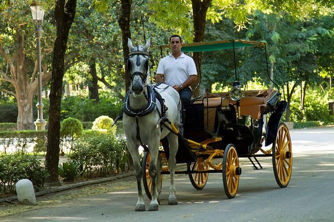 Horse and Buggy Ride in Seville with guide - Comfort, Timing, and What You Really Spend Your Time On