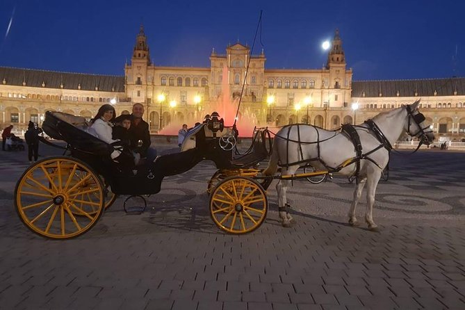 Horse and Buggy Ride in Seville with guide - Practical Tips for a Better Ride
