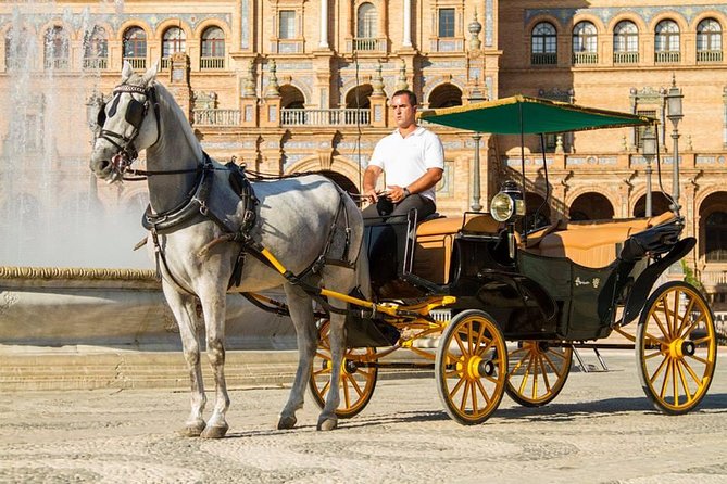 Horse and Buggy Ride in Seville with guide - The UNESCO Landmarks Loop, Seen From Street Level to Tower Level