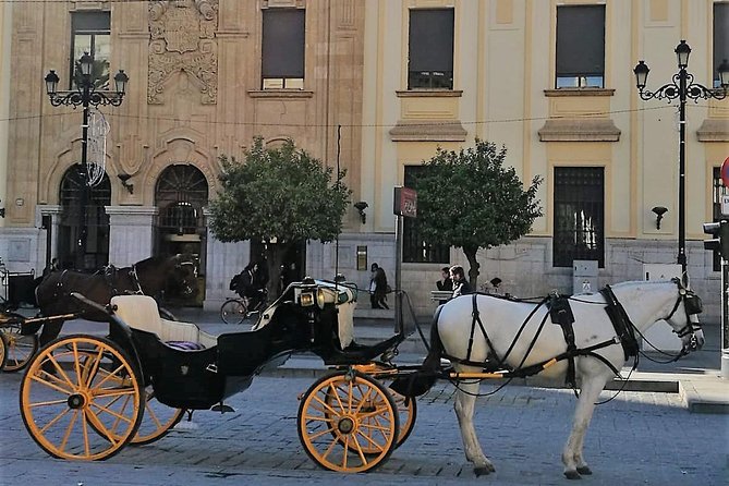 Horse-Drawn Carriage Ride Through Seville - Starting at the Colors of Seville Office, Then Rolling Into the Old Quarter