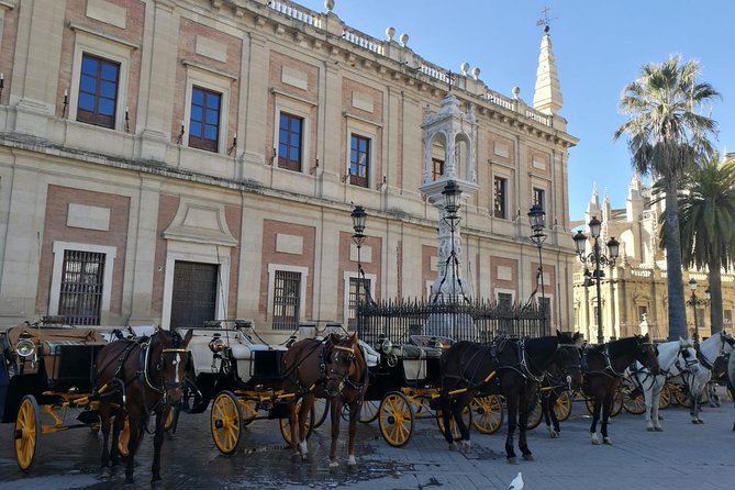 Horse-Drawn Carriage Ride Through Seville - Plaza del Triunfo Finale: Cathedral and Giralda Views in One Shot