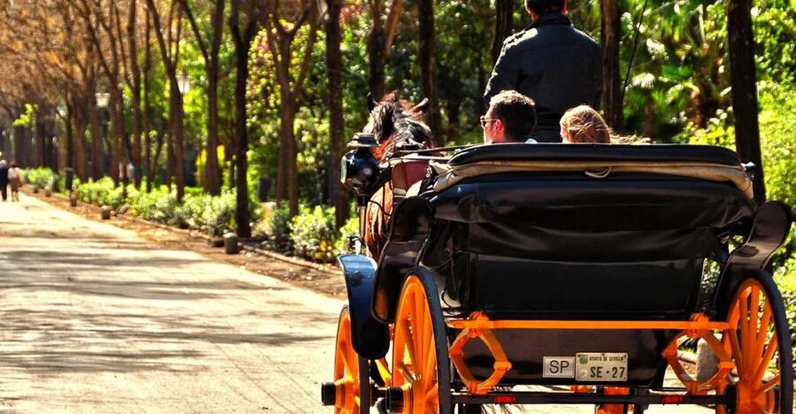 Horse-Drawn Carriage Ride Through Seville - Coachman and Language: Expect Spanish, Plan for Gaps