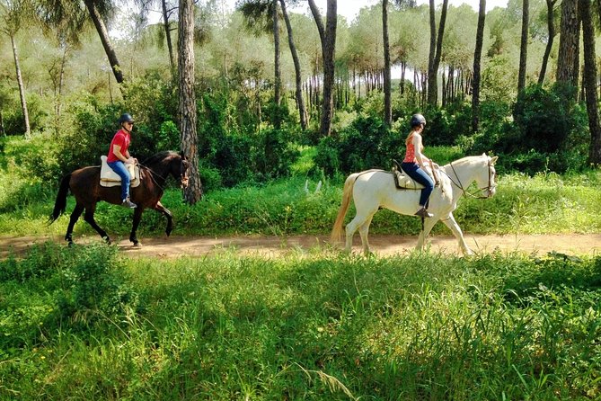 Horse Riding Excursion from Seville - What makes it feel special