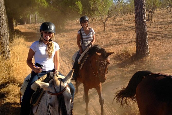 Horse Riding Excursion from Seville - A Horse Ride Outside Seville That Feels Like Andalusia