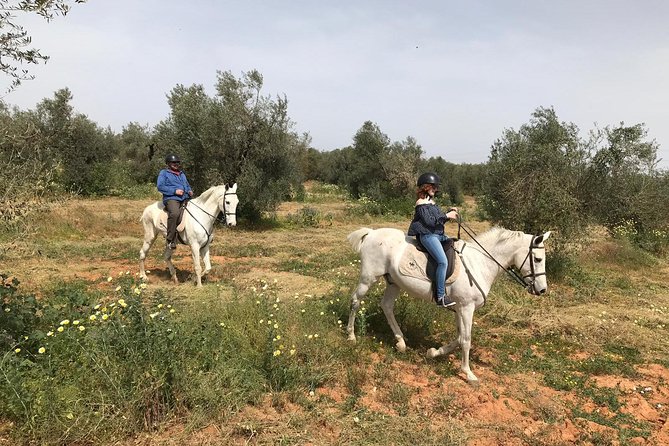 Horse Riding Excursion from Seville - Stop 1, Not Just a Tourist: Ranch Time and Real Context