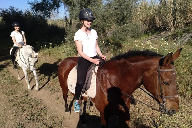Horse Riding Excursion from Seville - How Small-Group Riding Changes Everything