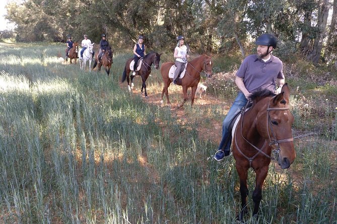 Horse Riding Excursion from Seville - Timing: What 2 Hours on the Horse Really Feels Like