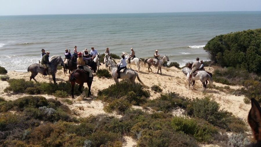 Horse-Riding Tour in Doñana National Park - Key things to know before you go