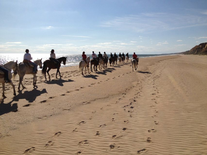Horse-Riding Tour in Doñana National Park - Riding Doñana by horse, not by car