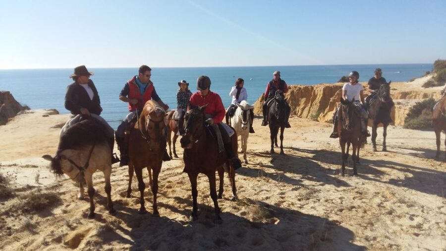 Horse-Riding Tour in Doñana National Park - Meeting point and timing at Ctra. San Juan del Puerto