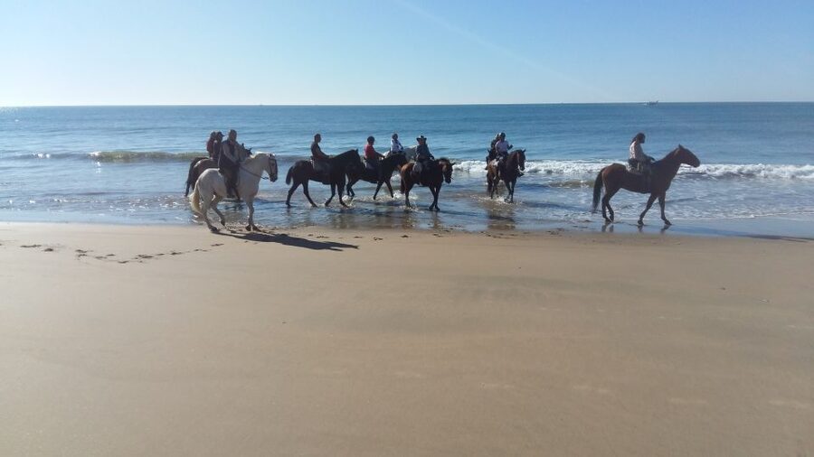 Horse-Riding Tour in Doñana National Park - The rules that keep the ride safe and pleasant