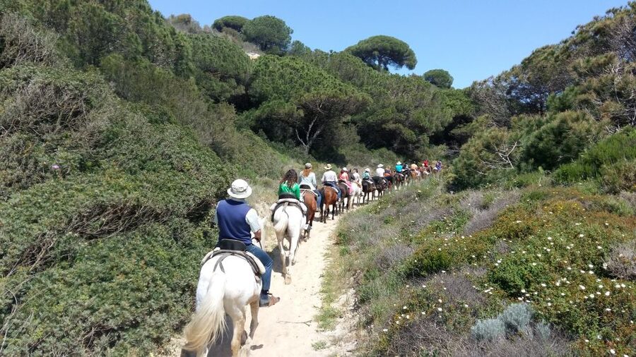 Horse-Riding Tour in Doñana National Park - Dunas viewpoints to the sea: where the route turns scenic