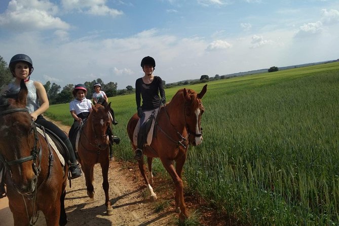 Horseback riding around Doñana National Park - How the team chooses your horse (and why it changes everything)
