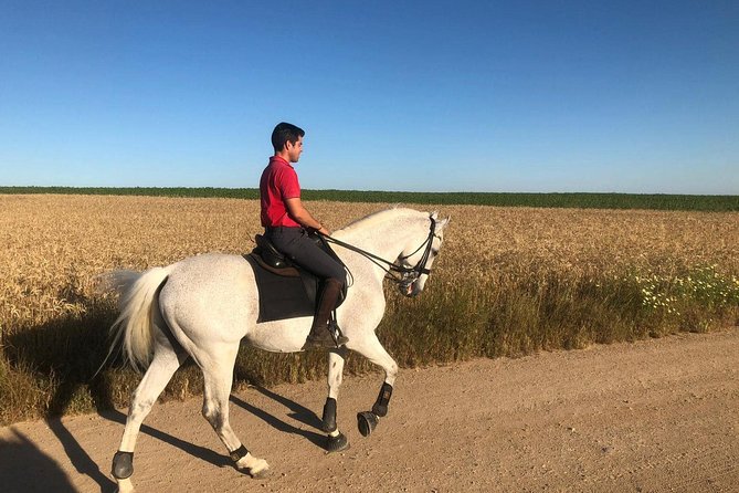 Horseback riding around Doñana National Park - The flow of the day: from stable ring to countryside loop