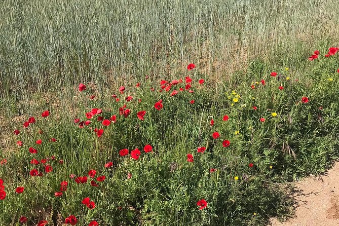 Horseback riding around Doñana National Park - What to bring, and what to do so you feel good the next day