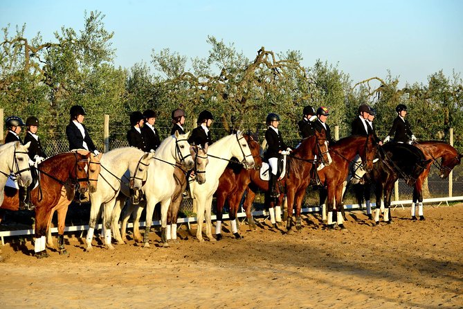 Horseback riding around Doñana National Park - Price and transfers: what you pay for, and what you don’t