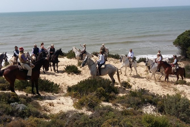 Horseback riding tour of Doñana and visit of El Rocio - Why a Doñana horse ride works better than another sightseeing day